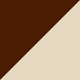 Chocolate Brown + Almond Beige
