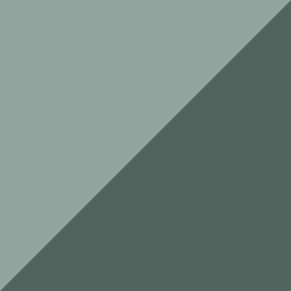 Ocean Mint/Forest Green