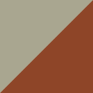Burnt Orange/Dusty Green