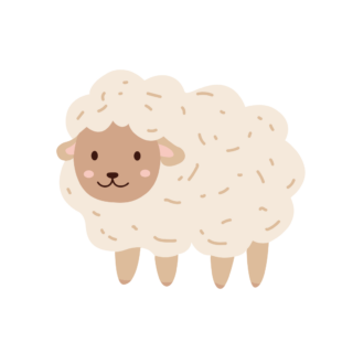Sheep