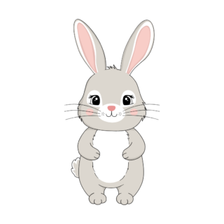 Gray Bunny