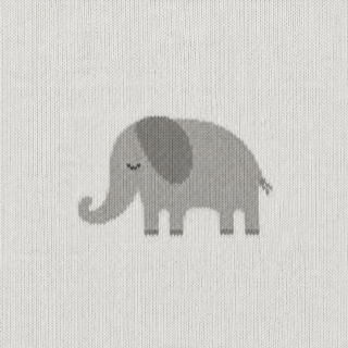 Elephant white